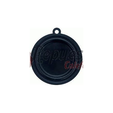 MEMBRANA COB 10 COINTRA 398C0220 | WALL-MOUNTED BOILER | SPARE PARTS