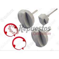 Boutons gris 0020074963 VAILLANT ( kit de 3)