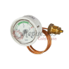 MANOMETER WOLF GG2E - TGB40 - TGB60 (8601876) 2039061