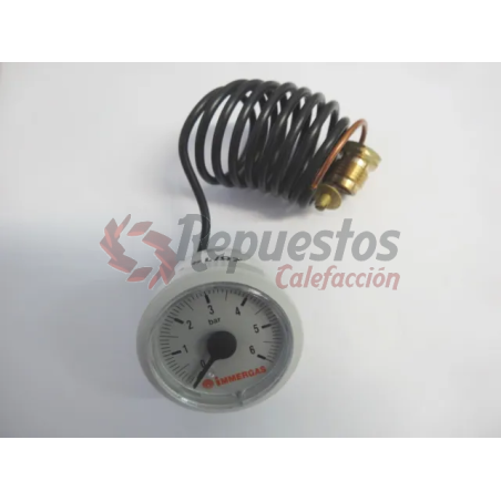 MANOMETRO IMMERGAS Ø37 1/4M DE 0-6BAR 1.6585