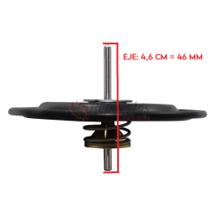 membrana giannoni eje corto