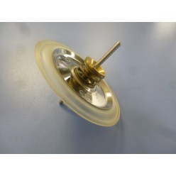 MEMBRANE POUR VANNE THERMITAL AQUAEARLY