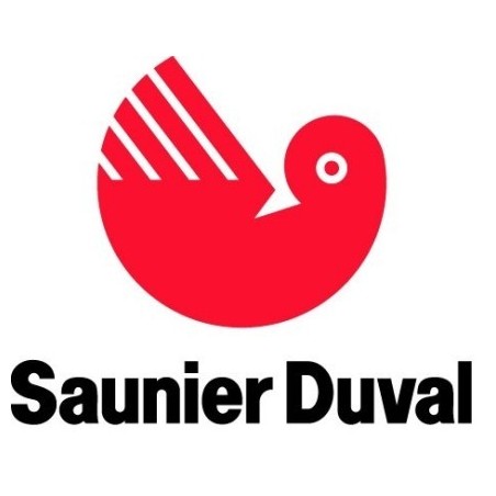 Spare parts for gas boiler  SAUNIER DUVAL THELIA 25